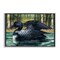 Stupell Industries Swimming Woodland Loon Framed Giclee Wall Art Design by Paul Brent